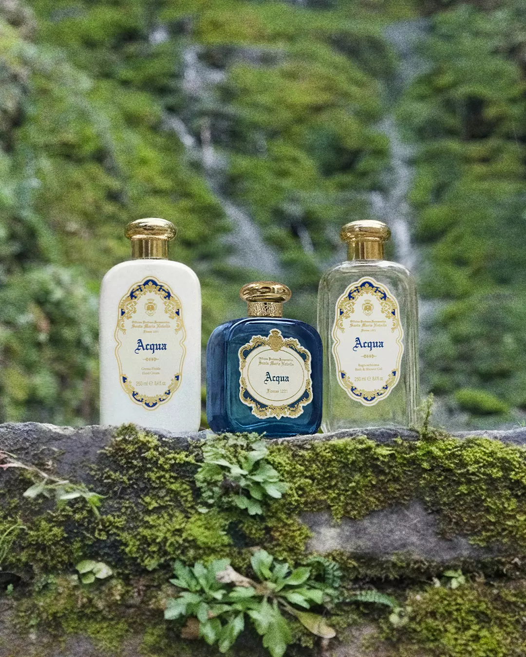 Santa Maria Novella 麥地奇花園淡香精 50ml / NTD6,200|100ml / NTD9,200