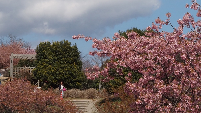 里山花祭