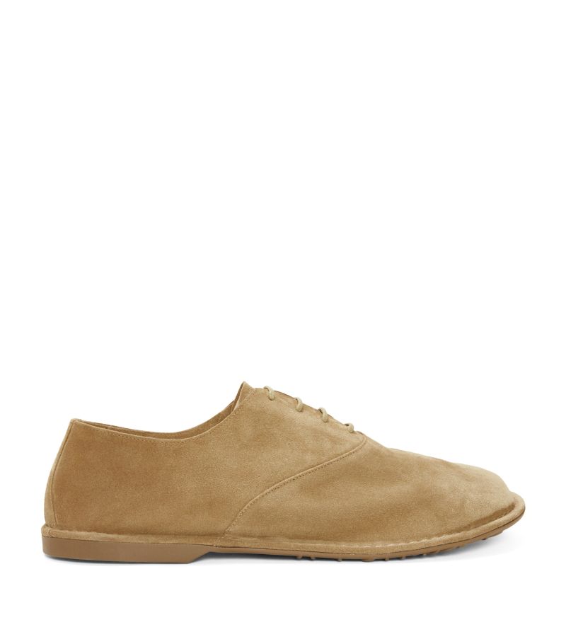 Loewe Suede Folio Lace-Up Shoes