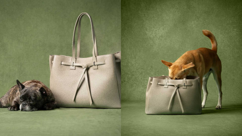 （圖／品牌提供）