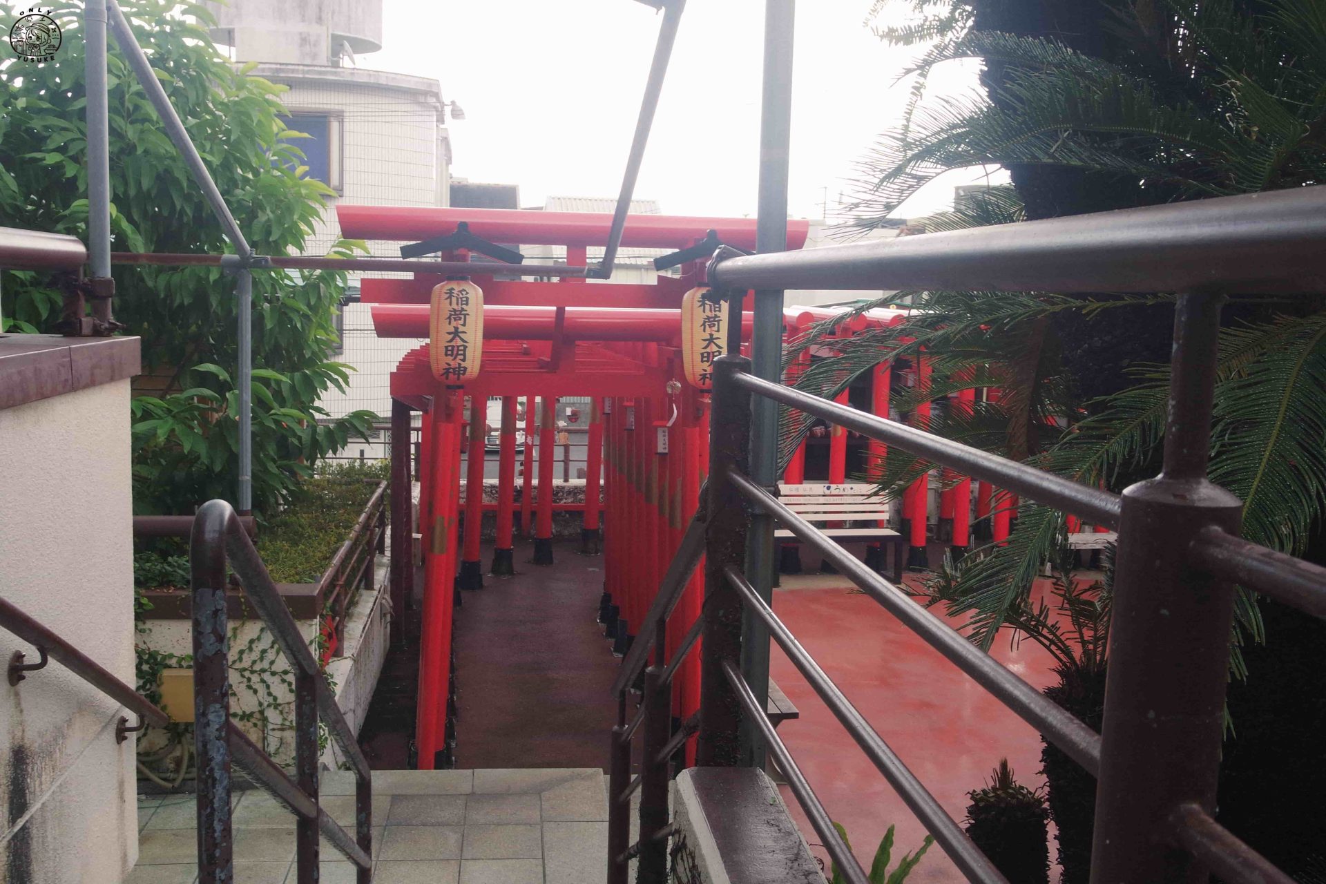 西來院達摩寺介紹