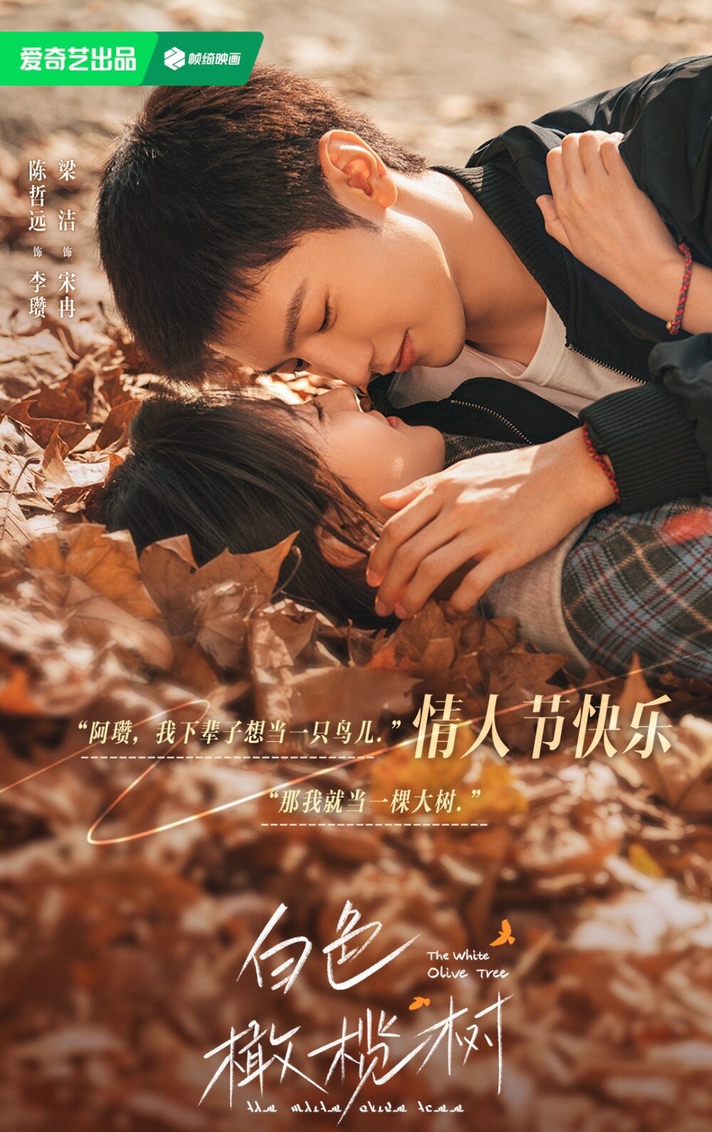 8對演技實力派的現偶劇CP！《春色寄情人》雙向治癒，《微暗之火》姐弟戀張力拉滿！