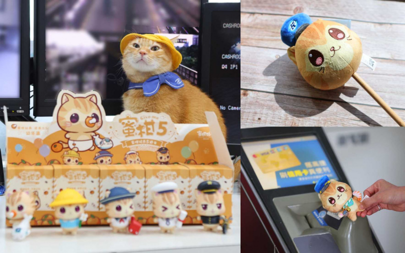 （圖／亞尼克提供）