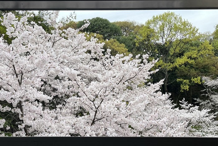 比治山公園