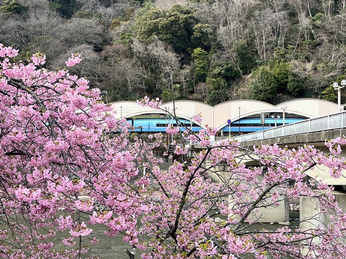 箱根湯本車站