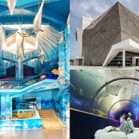 2024全台6大水族館推薦｜桃園Xpark、屏東海生館、新北野柳海洋世界，看企鵝、水母超療癒