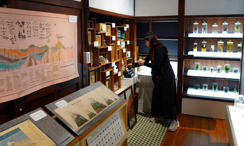 民眾可以在「m²」微型展微觀植物，還有大小不一的蝴蝶標本。（圖／魏妤靜攝）