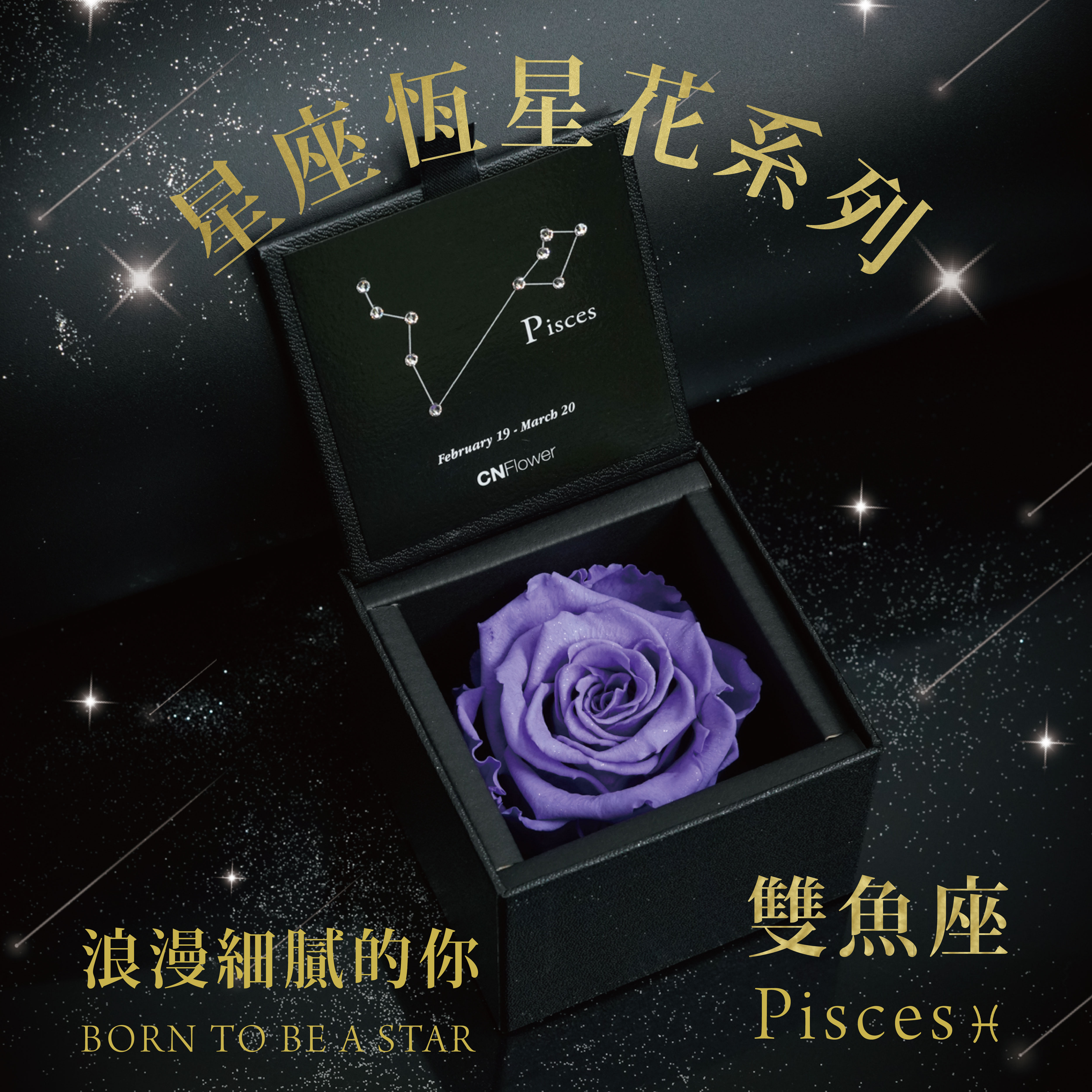 浪漫細膩的你【CNFlower】星座恆星花 升級版2.0-雙魚座(Lilac)永生花 生日快樂 升級皮革外盒質感送禮更加分