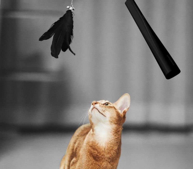 韓國雷射光+玩具羽毛 逗貓棒 貓玩具 與貓玩樂時光棒