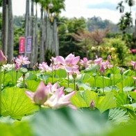 【南投景點】中興新村一日遊 6大人氣景點美食地圖！ 探訪過去省政府懷舊記憶