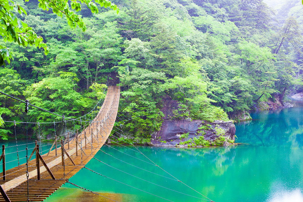 夢の吊橋