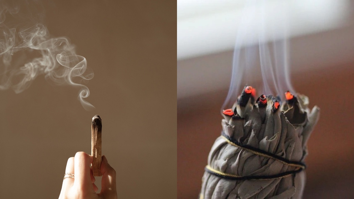 2022名人圈最紅聖誕禮！「秘魯聖木、鼠尾草」10大特點必看，功效與好處一次解惑！