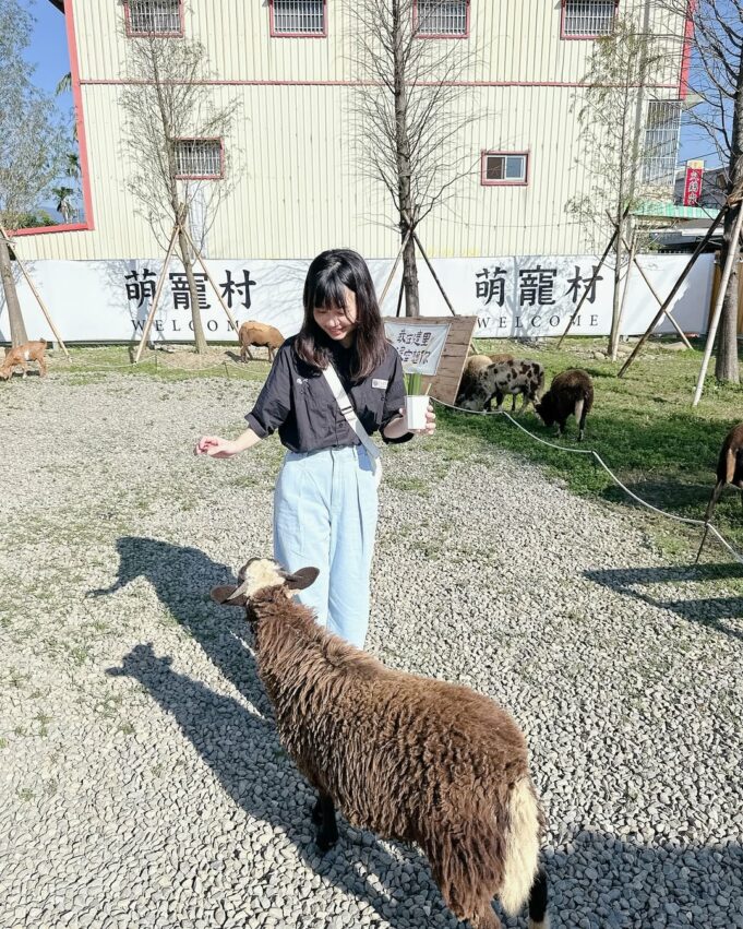 嘉義親子景點 2026嘉義親子景點｜超適合遛小孩的玩樂好去處，故宮南院溜滑梯、咩咩上樹療癒動物、三隻小豬觀光農場 4 2026