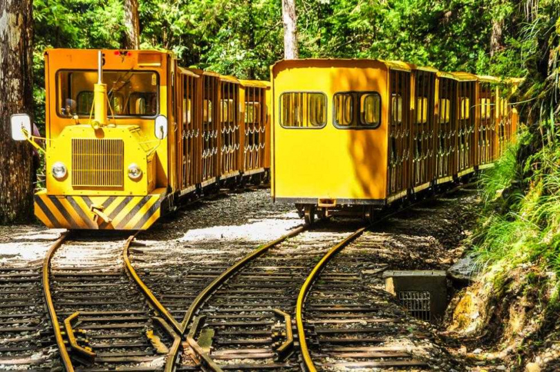 於KKday每週五限定的台灣日活動購買指定戶外體驗、離島行程滿2,000元，可享93折優惠，圖為太平山。（圖／KKday提供）