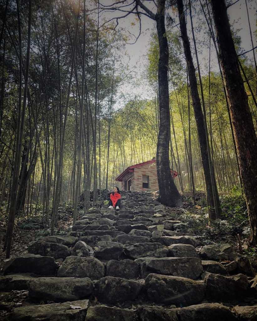 國家森林遊樂區,八仙山國家森林遊樂區 ,國家公園,雪霸休閒農場, 森林遊樂區, 國家森林遊樂區, 森林好好玩, 明池國家森林遊樂區, 向陽森林遊樂區, 太魯閣遊客中心, 國家公園申請, 向陽國家森林遊樂區, 雙流瀑布, 溪頭國家森林遊樂區, 太平山門票買一送一, 雪霸休閒農場適合去的月份, 國家公園法, 藤枝國家公園, 太魯閣國家公園管理處, 雪見遊客中心, 雪山國家公園, 雪見國家公園, 雪霸休閒農場穿著, 明池森林遊樂區門票, 新威遊客中心, 玉山管理處, 雪見步道, 馬告國家公園, 16湖國家公園, 雙流瀑布步道, 國家森林公園, 森林遊樂區住宿, 磺嘴山申請, 藤枝預約查詢, 向陽森林遊樂區開放, 雪見森林遊樂區, 雪霸休閒, 明池國家森林遊樂區門票, 藤枝接駁車, 林務局森林遊樂區, 向陽國家森林遊樂區門票, 觀霧山椒魚生態中心, 藤枝國家公園預約, 雪見遊憩區步道, 塔塔加步道難度, 向陽遊樂區, 中部森林遊樂區, 高山型國家公園, 克魯格國家公園, 雪霸休閒農場步道, 雪見遊憩區入山證, 藤枝森林公園, 向陽國家公園, 南橫向陽森林遊樂區, 國家森林遊樂區訂房, 雪霸休閒農場交通, 溪頭國家公園, 太魯閣國家公園遊客中心, 合歡山國家公園, 向陽森林遊樂區住宿, 雪山國家公園申請, 國家公園寵物, 藤枝接駁, 合歡山空拍申請, 太魯閣管理處, 藤枝國家森林公園, 北部森林遊樂區, 森林好好玩買一送一, 向陽國家森林遊樂區官網, 森林國家公園, 雪霸國家公園管理處汶水遊客中心, 美西國家公園, 棲蘭國家森林遊樂區, 太魯閣台地步道, 滿月圓森林遊樂區遊客中心, 國家公園地圖, 森林遊樂, 雪霸國家公園武陵遊客中心, 墾丁國家森林遊樂區遊客中心, 八仙山莊海拔, 汶水公園, 棲蘭國家森林遊樂區售票處, 明池國家森林遊樂區明池神木, 國家公園志工招募2023, 大雪山國家森林遊樂區林業陳列館,