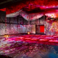 蜷川實花藝術裝置展京都登場！北野天滿宮，水晶閃耀的梅苑與沉浸式公演同步登場 | Japaholic