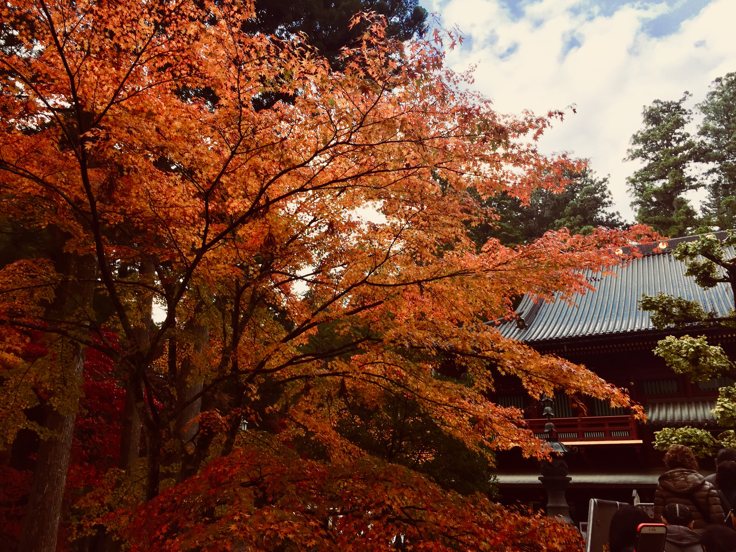 日光東照宮