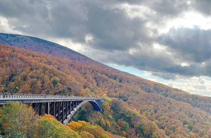 青森 城倉大橋