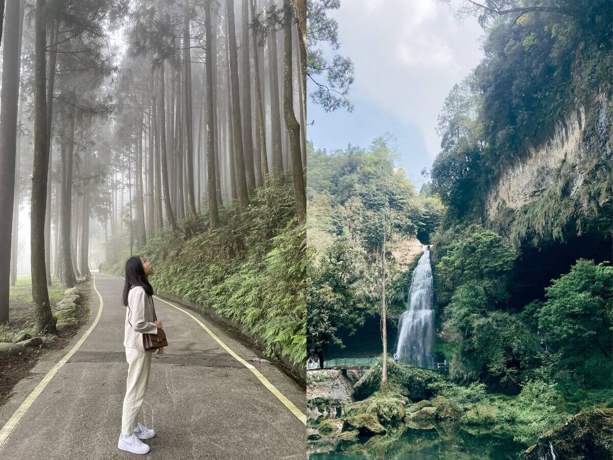 全台親山步道推薦｜新手也能輕鬆走！12條絕美親山步道懶人包，森林系、天空步道、101夜景全收錄