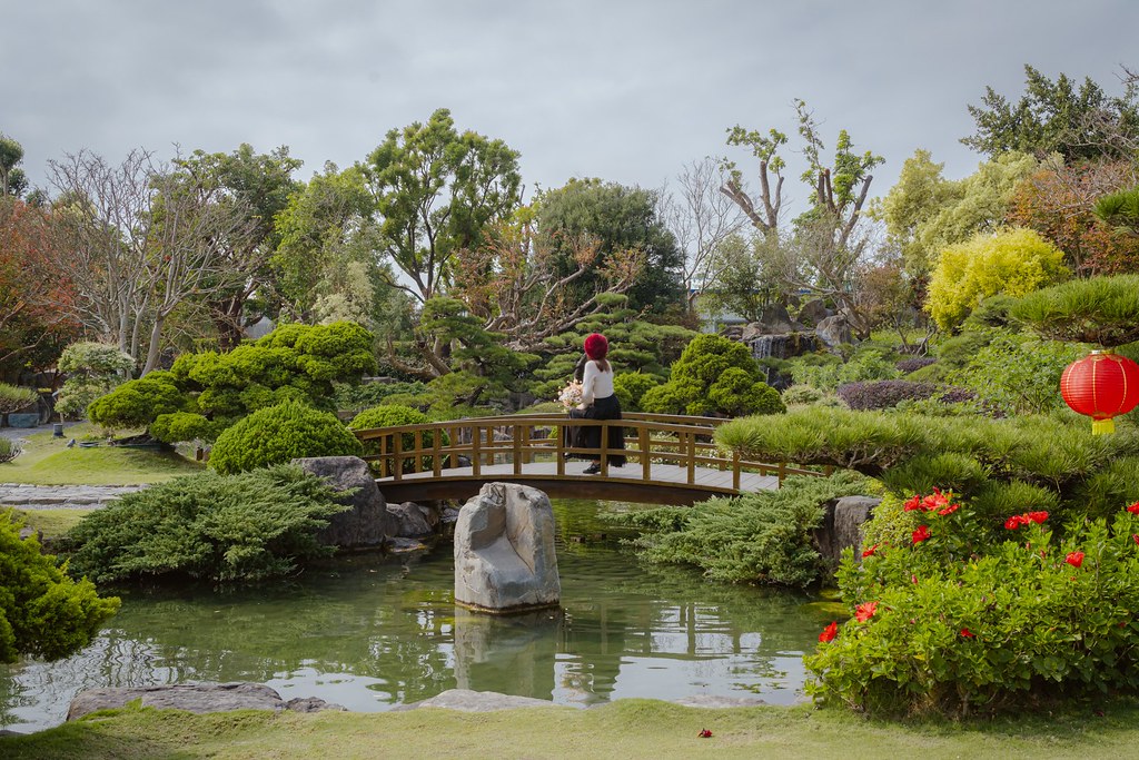 彰化景點》成美文化園｜百米落羽松步道超夢幻！油紙傘天空步道、