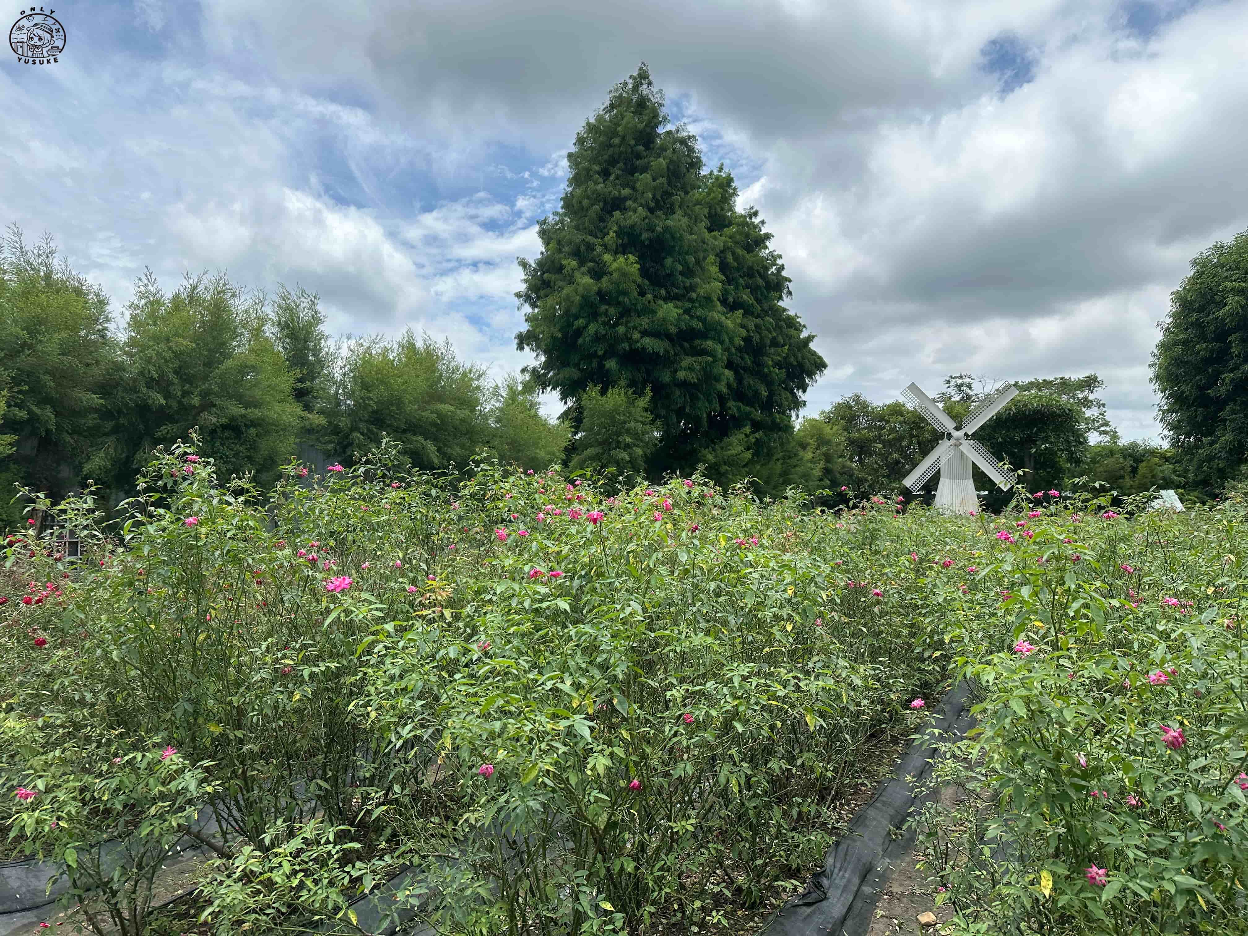 雅聞香草植物工廠介紹