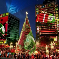 香港繽紛冬日巡禮11/14登場 中環八大地標沉浸式光影匯震撼視聽感官