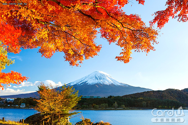 日本楓葉轉紅見頃時機　北海道京都東京燒起來