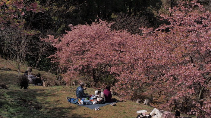 里山花祭