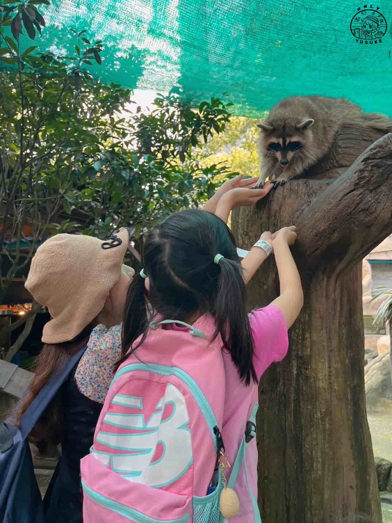 【城市農場Farm In The City】叢林氛圍動物園,像從繪本走出來