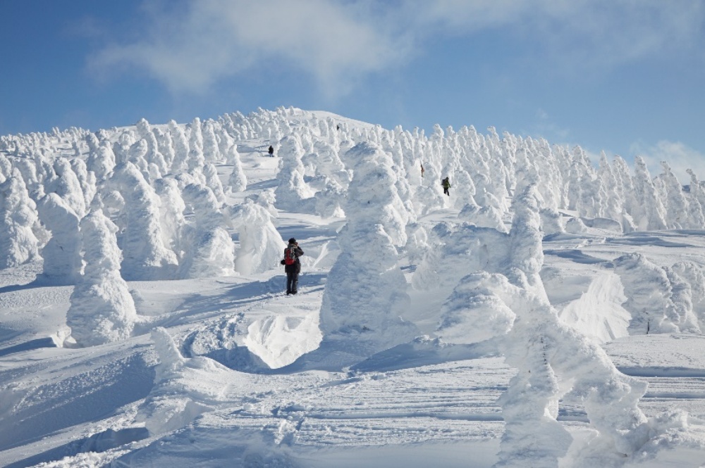 森吉山：搭乘阿仁滑雪場纜車，盡享四季之美