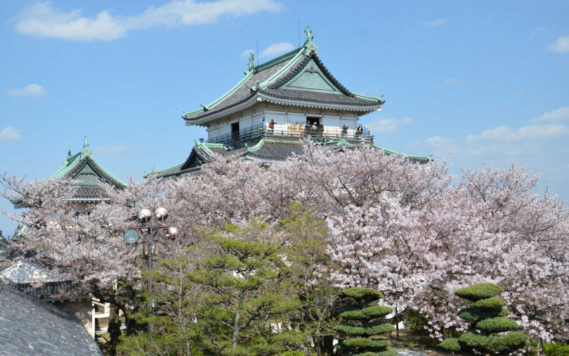 （圖／品牌提供）