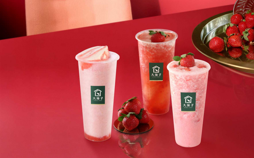 （圖／大苑子提供）