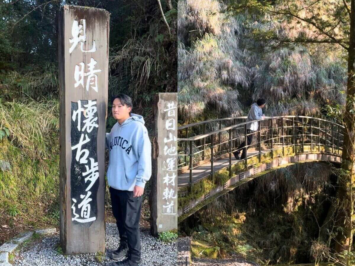 全台親山步道推薦｜新手也能輕鬆走！12條絕美親山步道懶人包，森林系、天空步道、101夜景全收錄