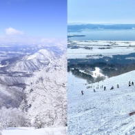 雪季正式開始！2024年關東地區滑雪初心者雪場5選 | Japaholic