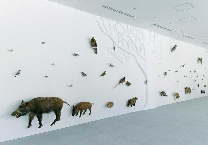 自然之牆。以大幅壁面動態呈現高尾山生態，直觀感受物種多樣性的教育性展示。（圖／ Taiji Yamazaki提供）