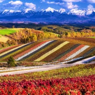 日本最早紅葉！北海道賞楓時間、必去景點一次看