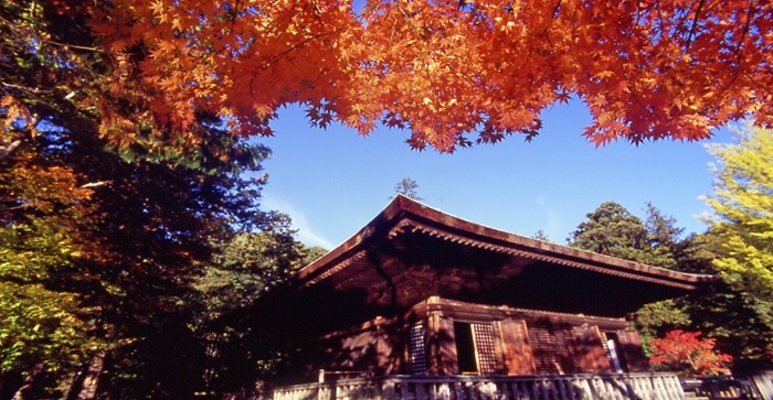 福島楓葉景點推薦－白水阿彌陀堂