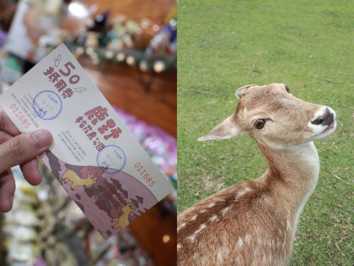 台東親子一日遊｜來鹿野不只有熱氣球可以玩！超療癒行程3大景點推薦！