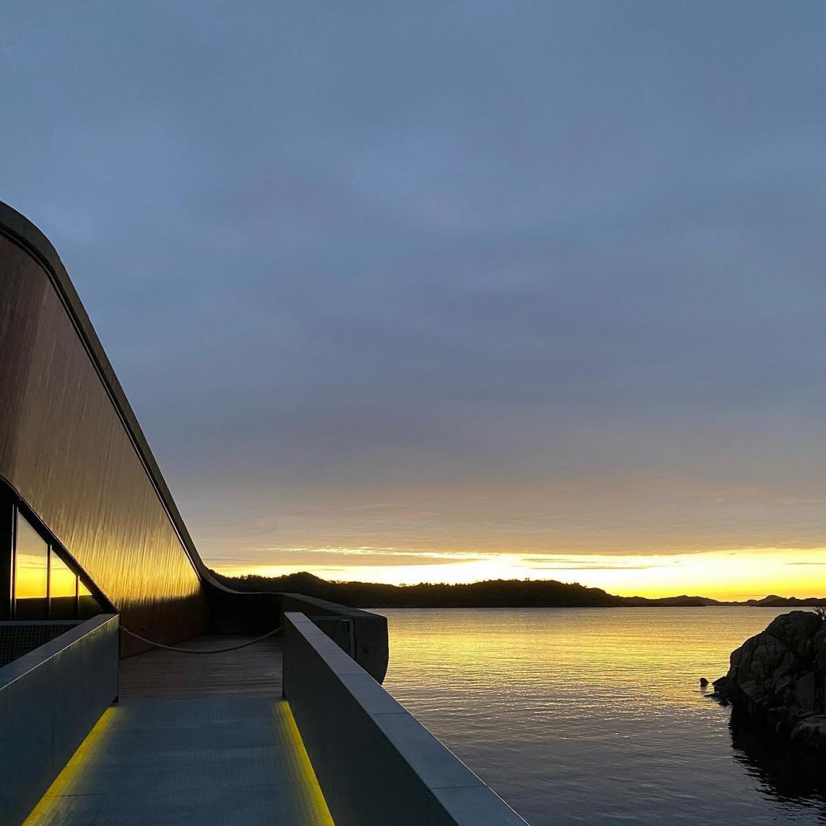 走進 Under，用餐體驗早在入口便已展開。室內空間循著緩慢下沉的動線設計，從溫潤的木質與柔光開始，逐步過渡至深色調與低光源，彷彿象徵人類一步步離開熟悉世界，進入未知海域。最終抵達的用餐區，是整個體驗的核心：一面寬達11公尺的巨大觀景窗，毫無遮蔽地將北海真實的水下景象攤展在眼前。這裡沒有刻意安排的魚群，也不是人工餵養的表演，而是隨著潮汐、季節與時間流動的自然劇場。當海膽、比目魚或海藻在窗外緩緩游移，用餐者不再只是旁觀者，而是暫時成為海洋節奏的一部份。