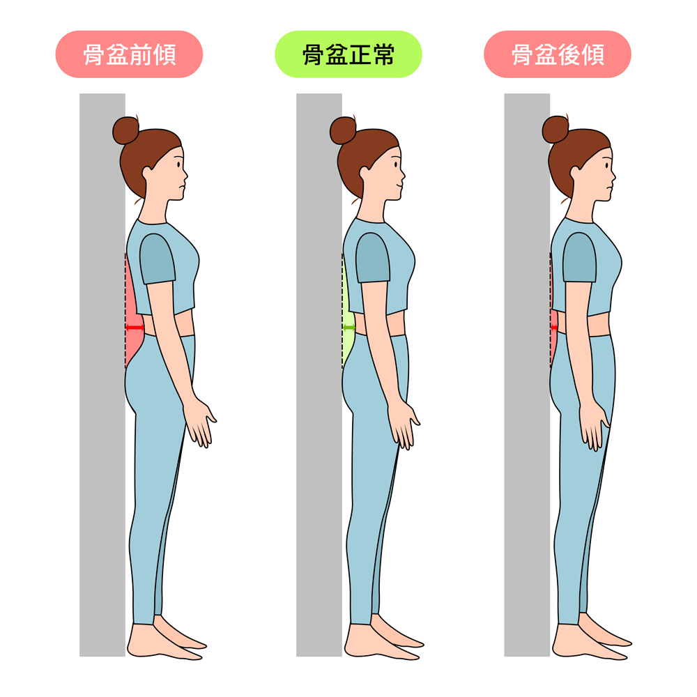 曼黛瑪璉,瑪登瑪朵,內褲,假胯寬,骨盆,瑜珈,運動,臀部