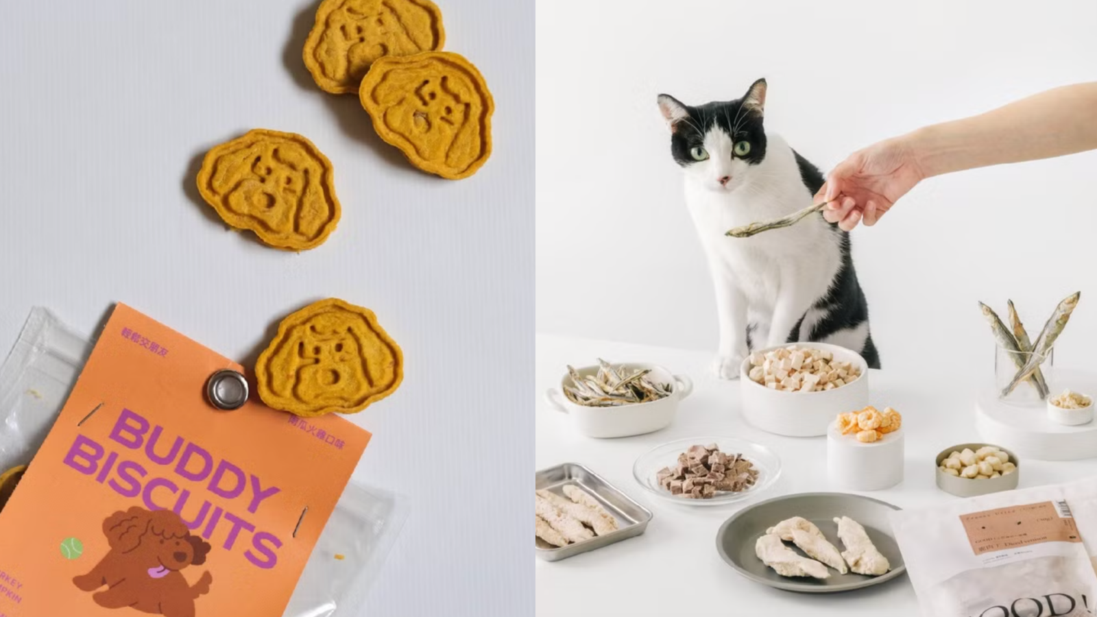 寵物零食這樣挑！讓貪吃毛小孩吃得開心又健康的零食推薦！