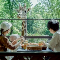 與長頸鹿共進早餐？近距離接觸可愛動物，日本療癒景點3選 | Japaholic