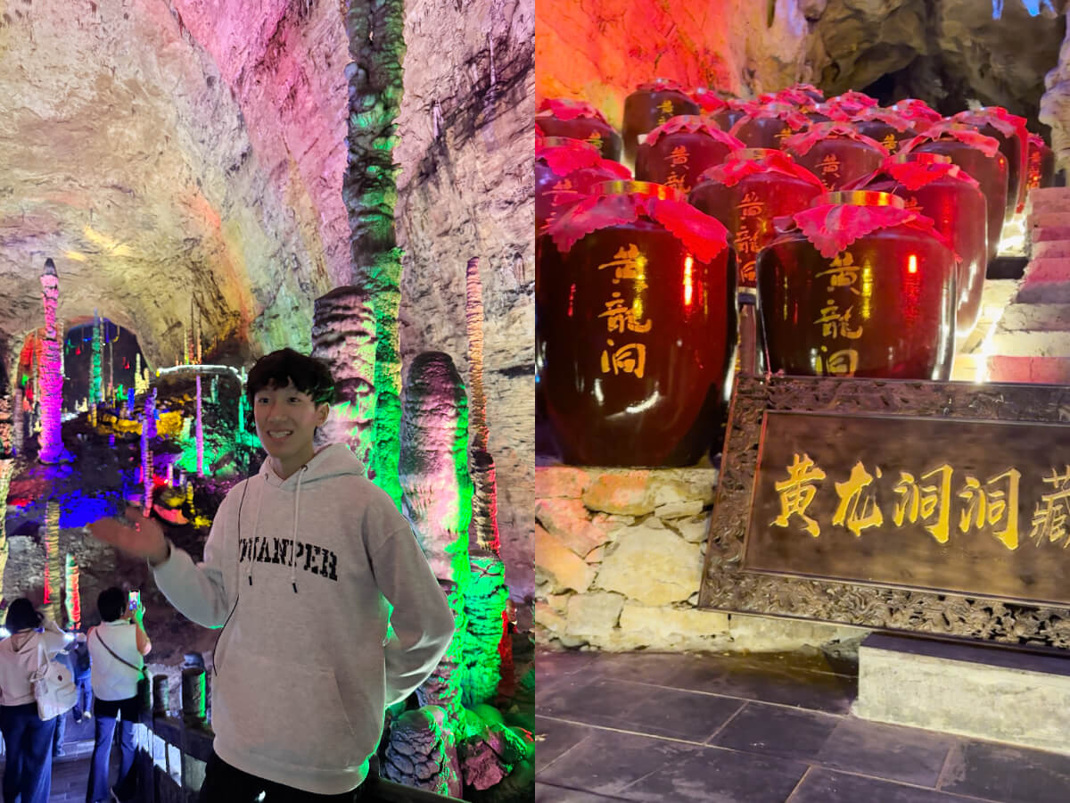 影｜張家界旅遊｜初訪張家界可以怎麼玩？阿凡達傳奇取景地、世界海拔最高的天然溶洞