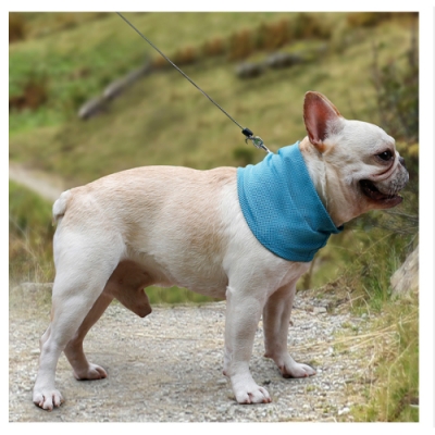 寵愛有家-夏季好物貓犬降溫涼感巾(寵物涼夏用品)