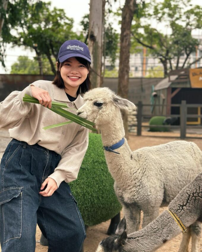 嘉義親子景點必去清單｜超適合遛小孩的玩樂好去處，故宮南院溜滑梯、咩咩上樹療癒動物、三隻小豬觀光農場