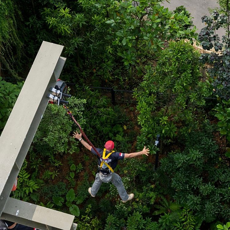園區內還設有探險設施供給愛好刺激的遊客，包含高達 20 米的高台自由落體，衝破你對傳統動物園的感官體驗。