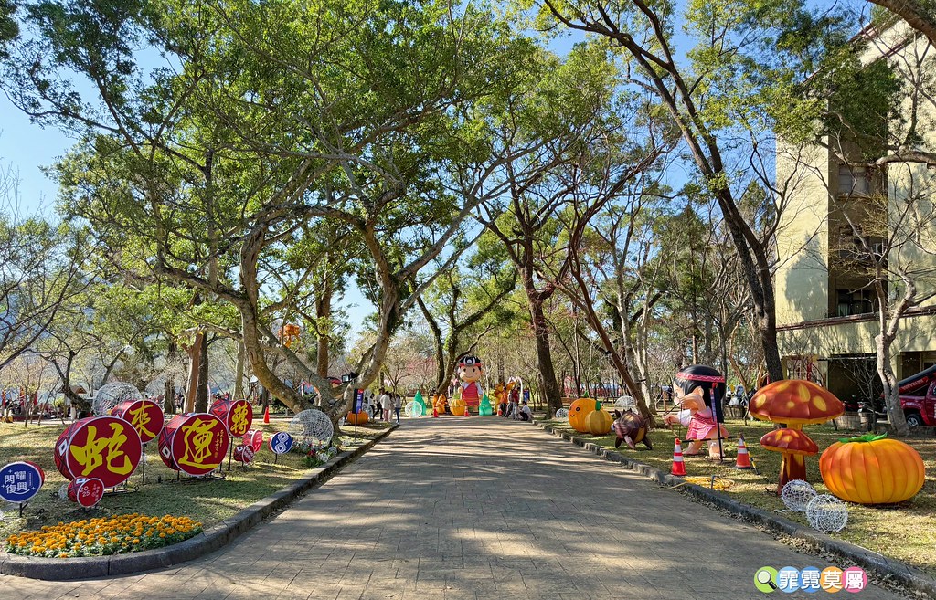 桃園親子活動 2025臺灣燈會在桃園:光聚千塘串桃園，燈