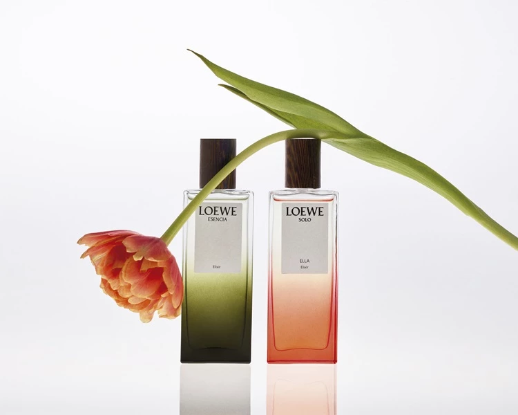 Loewe 獨奏宣言女士濃香精，50ml，NTD6,935 / 100ml，NTD10,000 Loewe 黑色圓舞曲男士濃香精，50ml，NTD6,935 / 100ml，NTD10,000