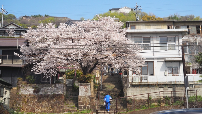 尾道 千光寺
