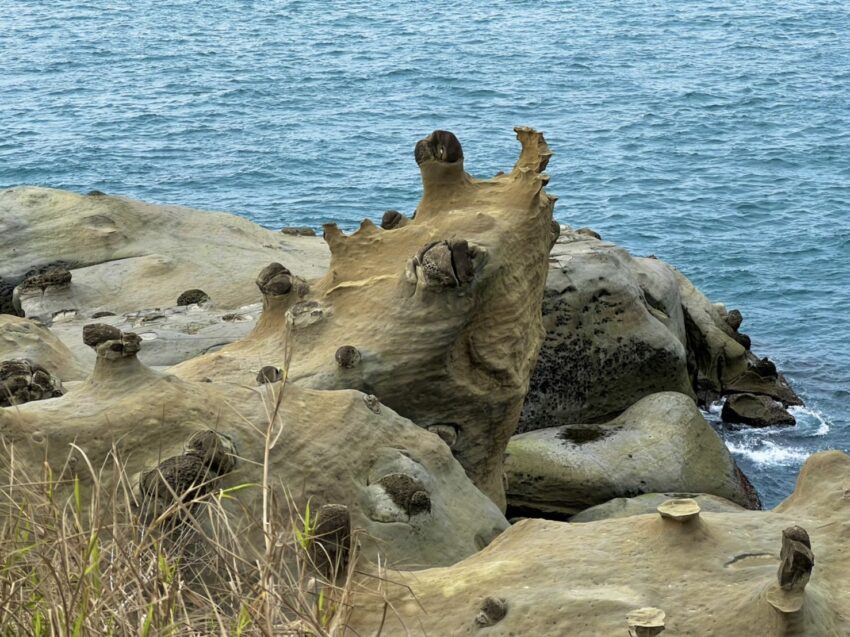 和平島公園 2024基隆和平島公園，世界級秘境怎麼玩？一日遊導覽、親子玩水、手作體驗、門票預約等基隆景點懶人包 2 2024